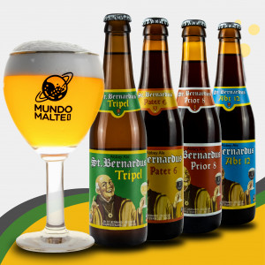 Kit Presente Cerveja St. Bernardus + Taça Belga Abadia