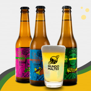 Kit Presente Cerveja Dama - Seleção Sour + Copo Caldereta