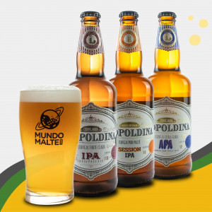 Kit Cerveja Leopoldina - APA | IPA | Session IPA + Copo Pint