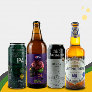 Kit Presente Cerveja - Seleção APA + IPA