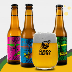 Kit Presente Cerveja Dama - Sour's + Copo Emerald