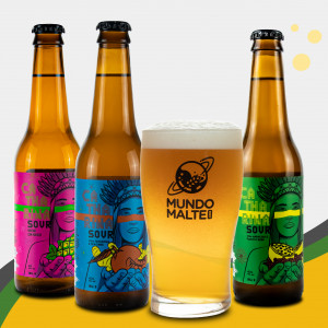 Kit Presente Cerveja Dama - Sour's + Copo Pint