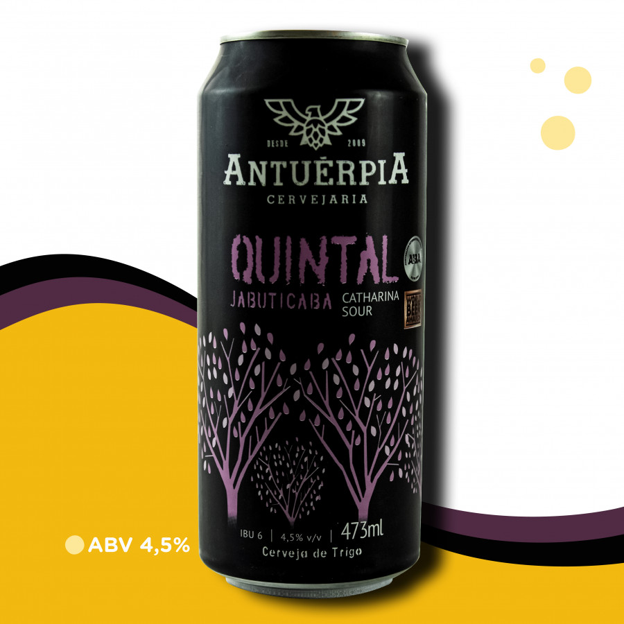 Kit Presente Cerveja Antuérpia Seleção + Copo Emerald